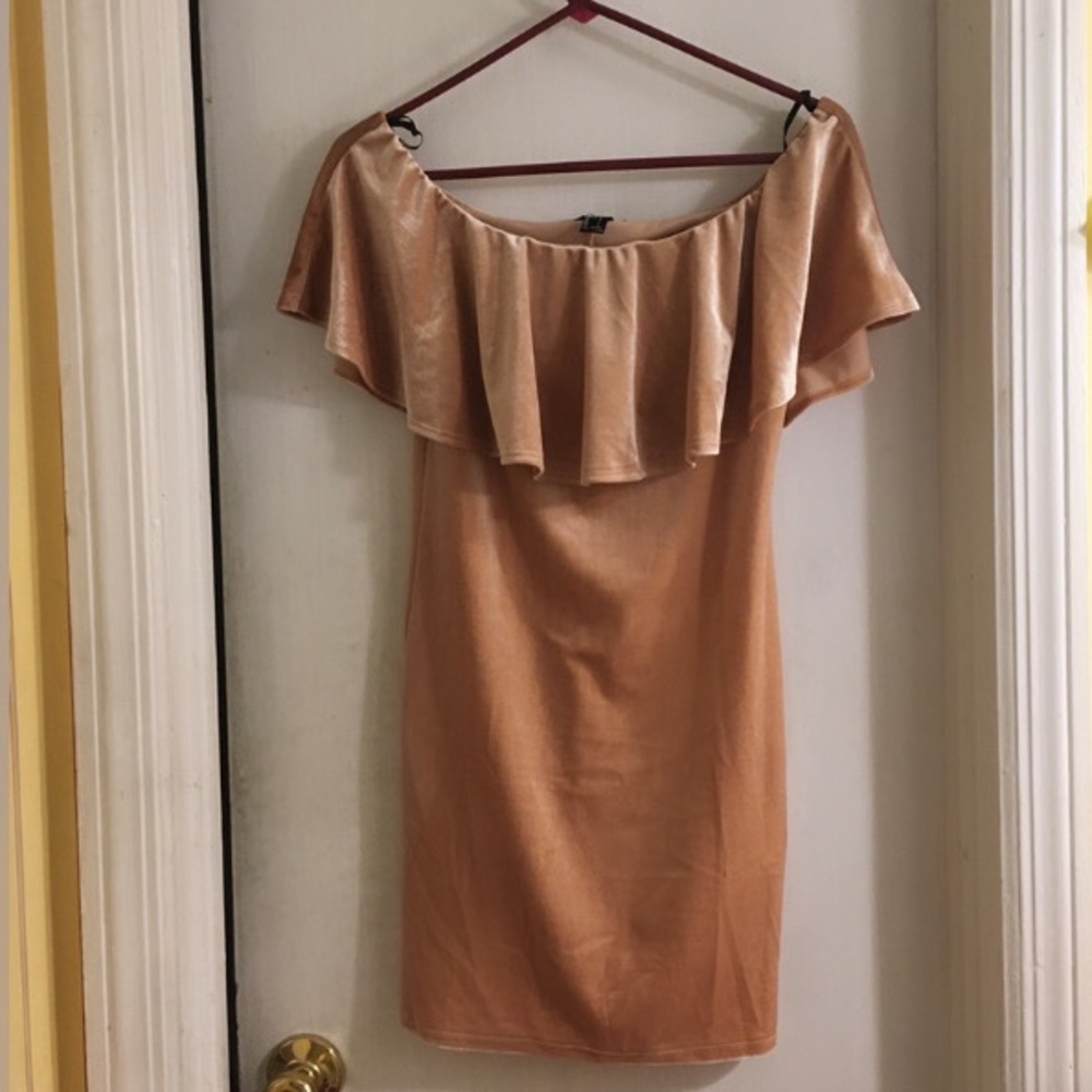 Fitted Rose Gold Dress